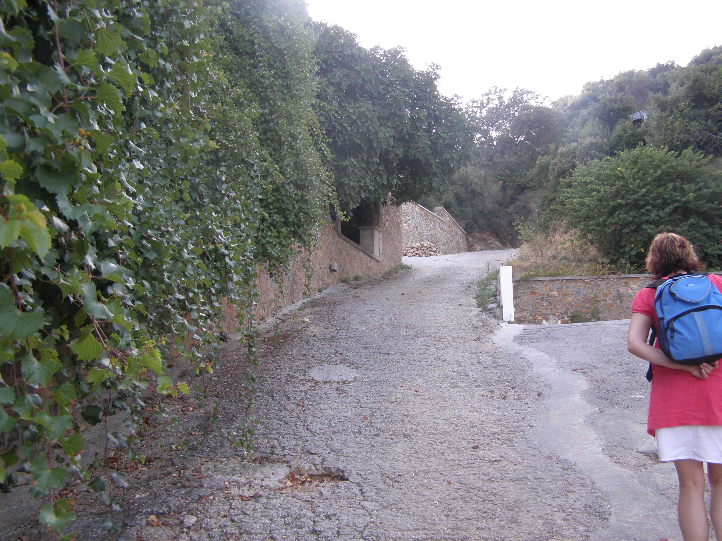 P9200088