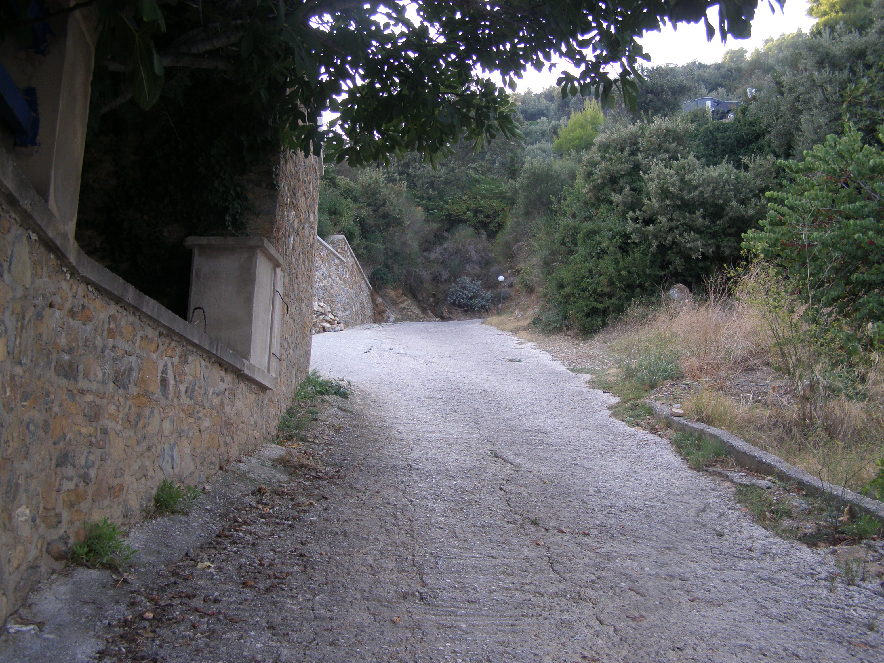 P9200089